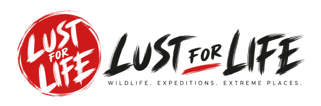 lustforlife.gr