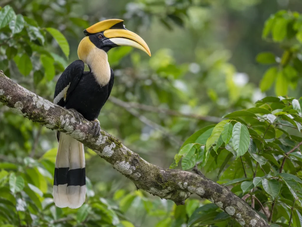 Wild animal documented during a Lust For Life field journey